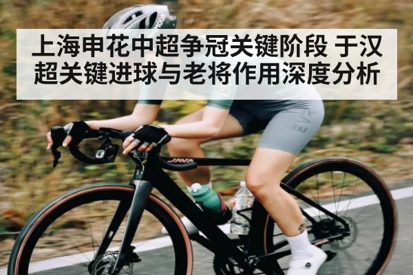 上海申花中超争冠关键阶段 于汉超关键进球与老将作用深度分析